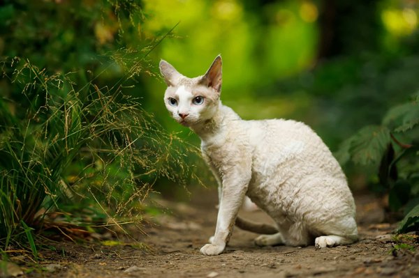 Aix-en-provence : votre guide pour explorer ses richesses locales